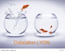 Colocation jeune à LYON: Comment trouver une colocation accessible à LYON?