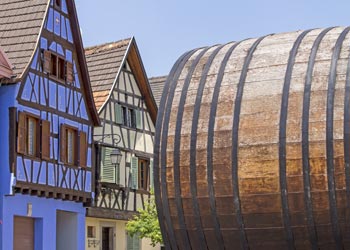 Co-Living dans la région du Grand Est