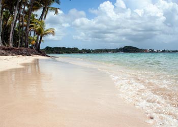 Les CROUS   à Saint-Benoît 97470 dans  La Réunion
