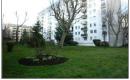  : Jardin exterieur