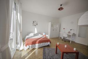 Coliving - Strasbourg - Grande chambre lumineuse – 21m² - ST9