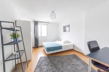 Coliving - Strasbourg - Chambre agréable et spacieuse – 17m² - ST63