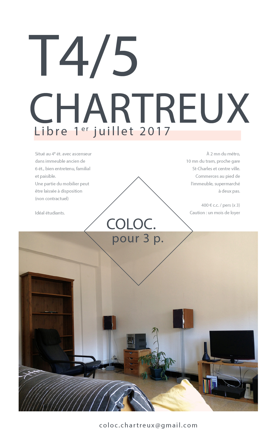 T4/5 colocation Chartreux salon